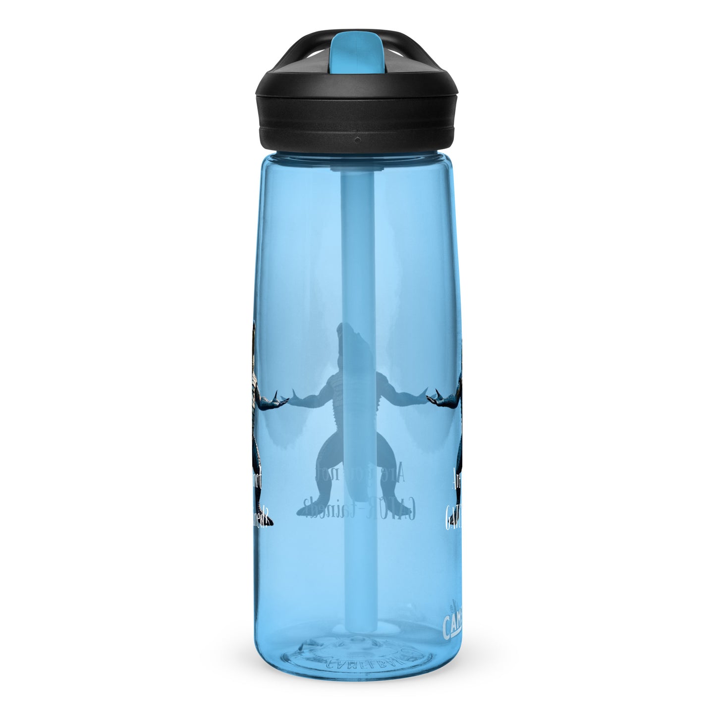 Are You Not Gator-tained Camelbak Water Bottle - 25 ounce