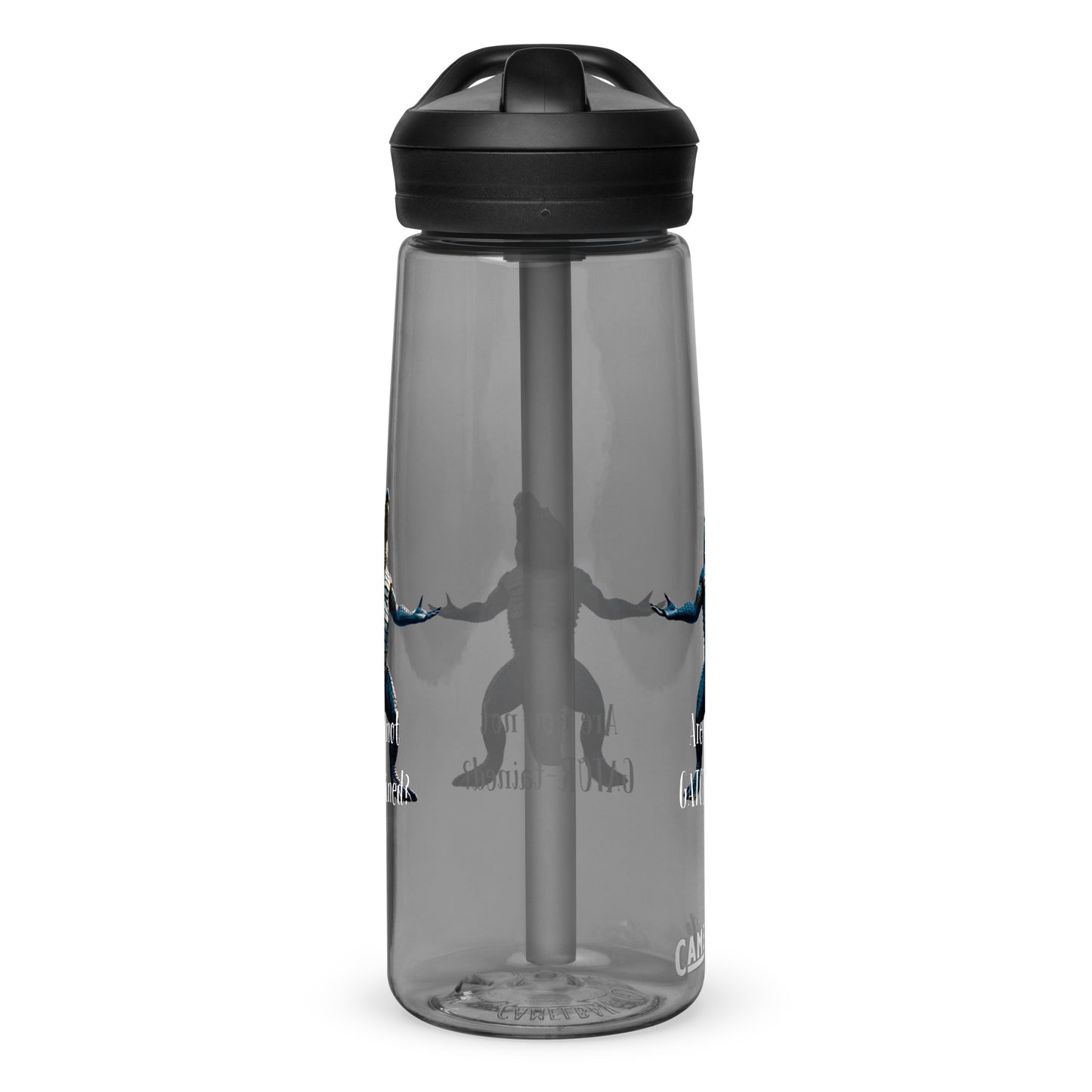 Are You Not Gator-tained Camelbak Water Bottle - 25 ounce