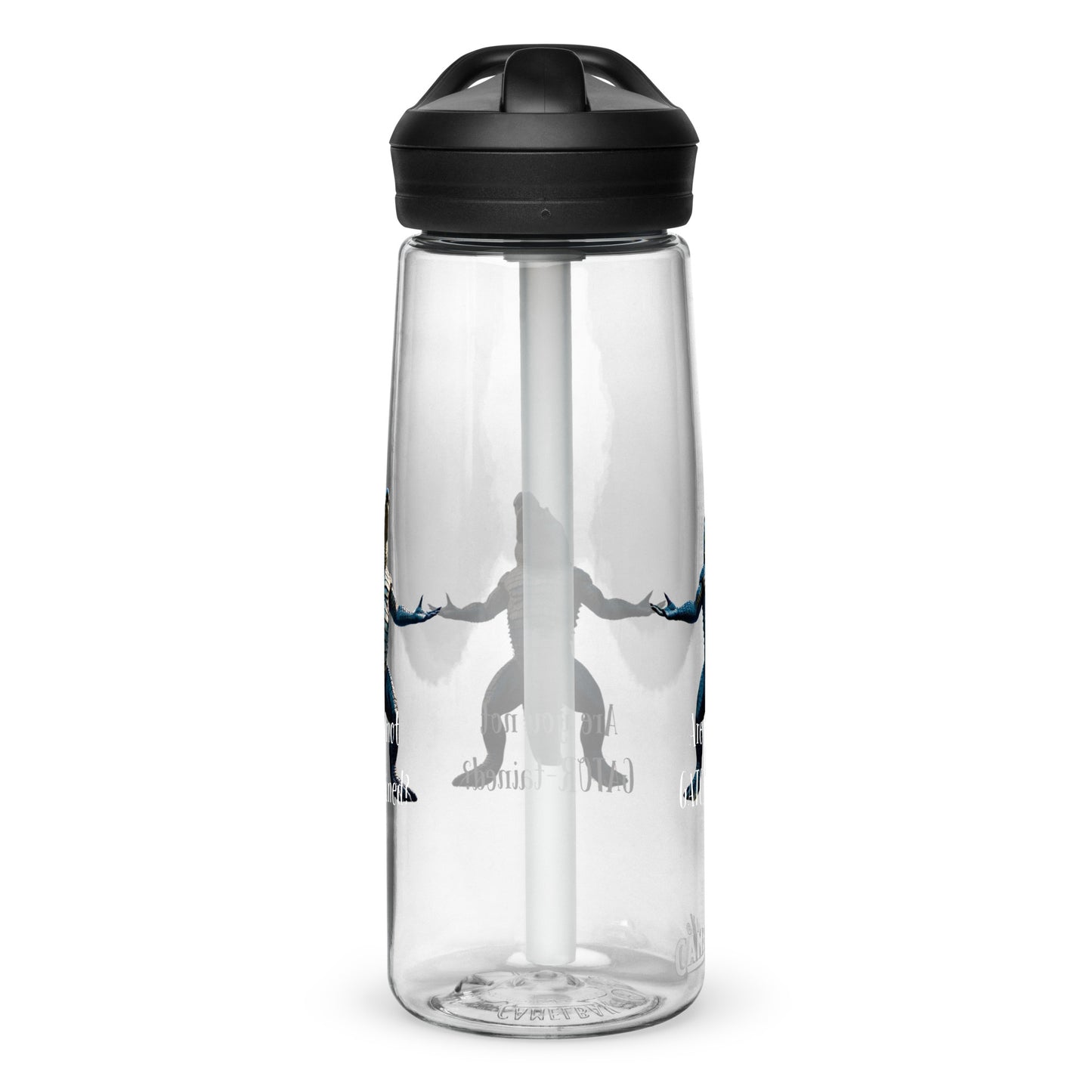 Are You Not Gator-tained Camelbak Water Bottle - 25 ounce