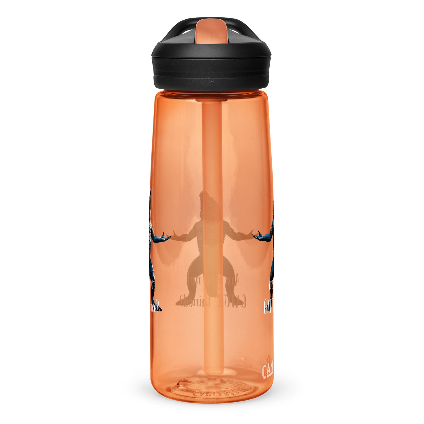 Are You Not Gator-tained Camelbak Water Bottle - 25 ounce