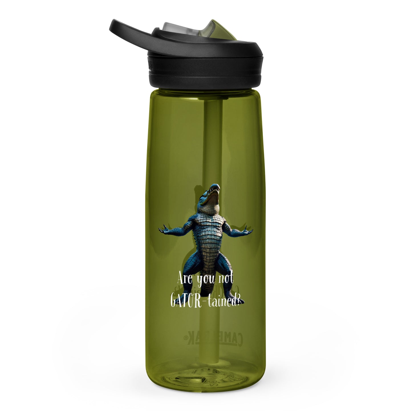 Are You Not Gator-tained Camelbak Water Bottle - 25 ounce