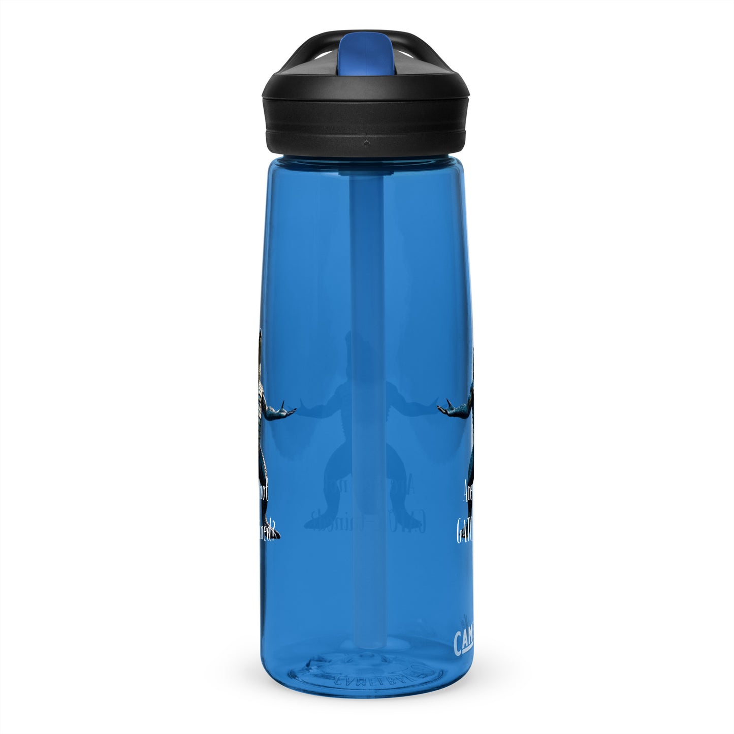 Are You Not Gator-tained Camelbak Water Bottle - 25 ounce