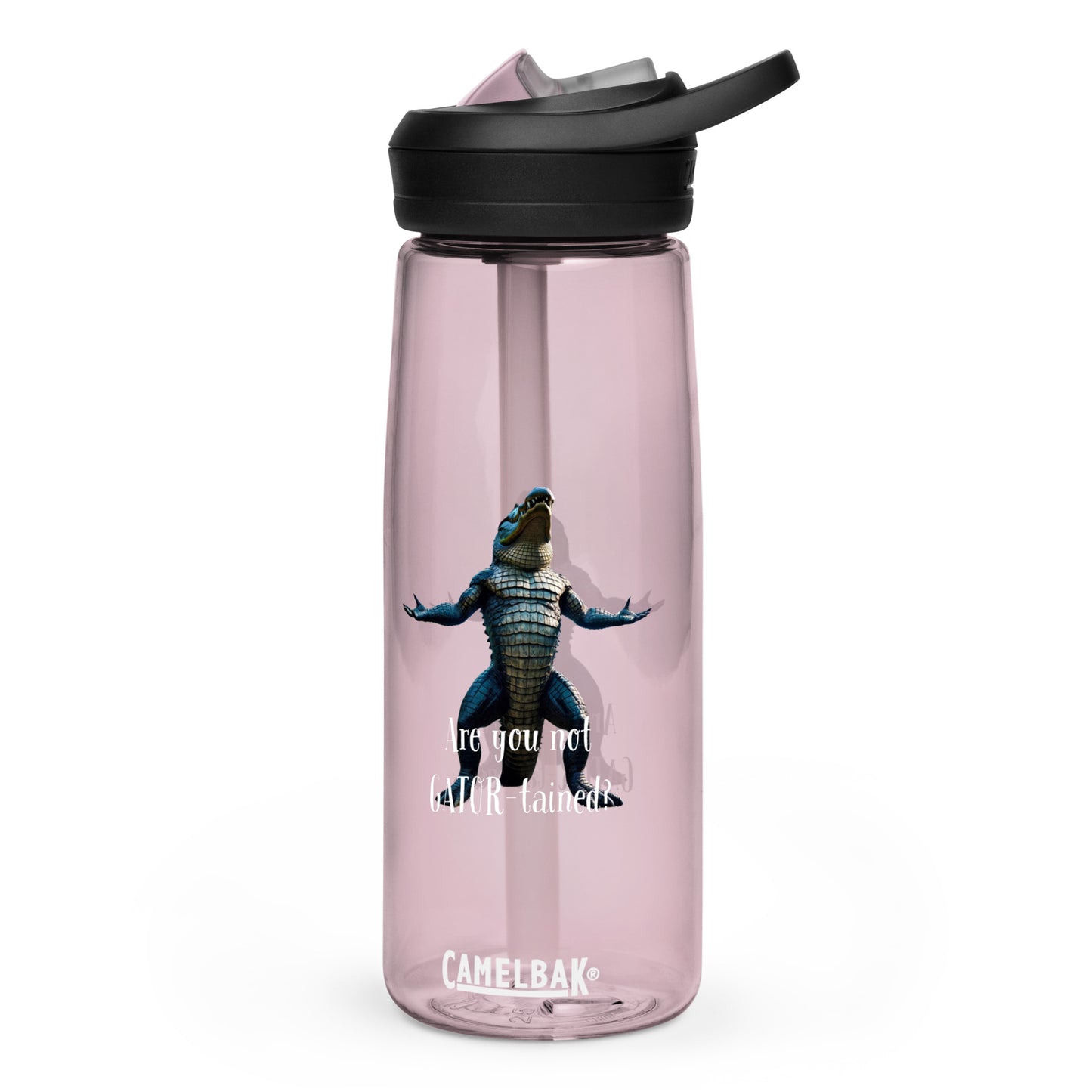 Are You Not Gator-tained Camelbak Water Bottle - 25 ounce