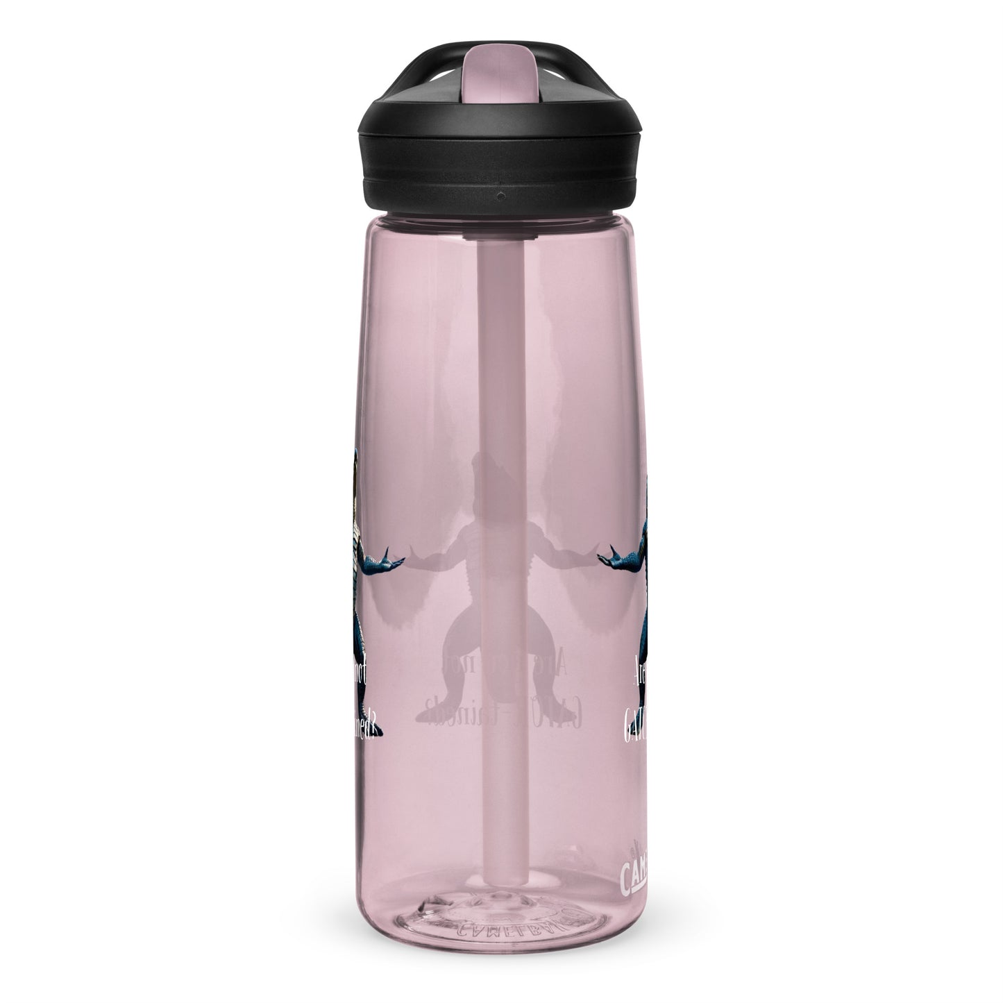 Are You Not Gator-tained Camelbak Water Bottle - 25 ounce